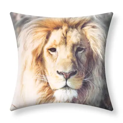 Komplet 2 prevlek za blazino 40x40 cm z motivom leva, Večbarvno