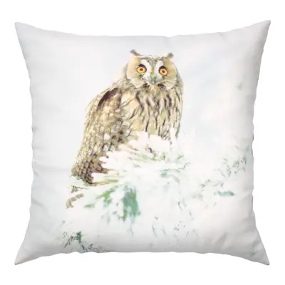 Komplet 2 prevlek za blazine 40x40 cm Sova Sneg Design, Večbarvno