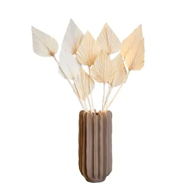 Posušeno cvetje - 10 kos - Bouquet 'Palmspear Bleached White' - Šopek