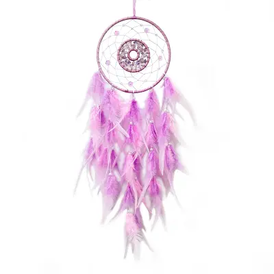 Stenska dekoracija z vijoličnimi peresi, boemski lovilec sanj