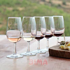 KOZARCI ZA VINO TESTER - SET 12/1
