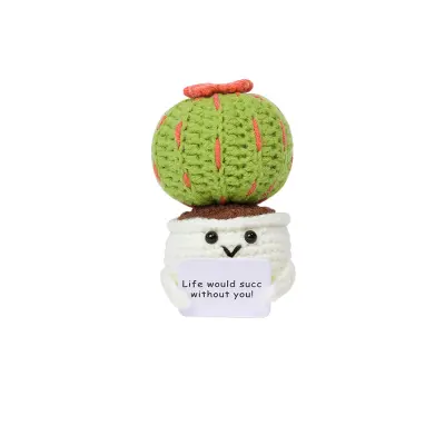 Pleteni okrasni kaktus v lončku