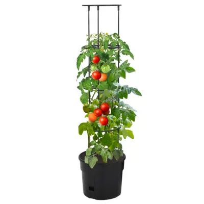 lonec - Lonček za rože za gojenje paradižnika Ø29,5x115 cm polipropilen