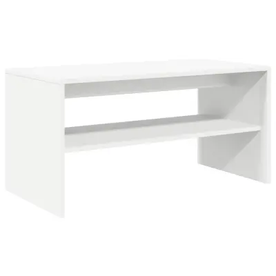 vidaXL TV omarica bela 80x40x40 cm iverna plošča
