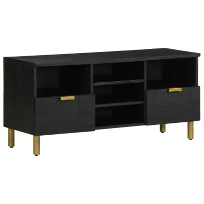vidaXL TV omarica črna 100x33x46 cm iz umetnega lesa