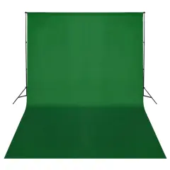 vidaXL Podporni sistem za ozadje 300 x 300 cm zelene barve