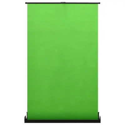 vidaXL Studijsko ozadje za fotografiranje zeleno 95" 4:3