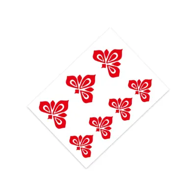 10 kosov začasnih tetovaž   Model 6