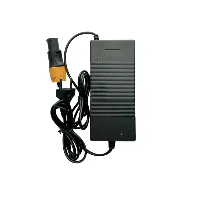 Polnilec za električni skiro MS Energy X10