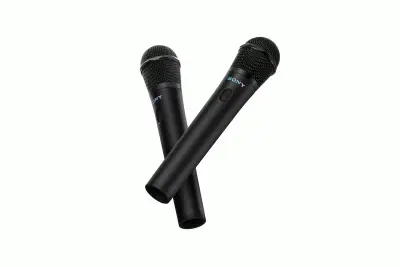 SONY brezžični mikrofon (2 kosa) s sprejemnikom