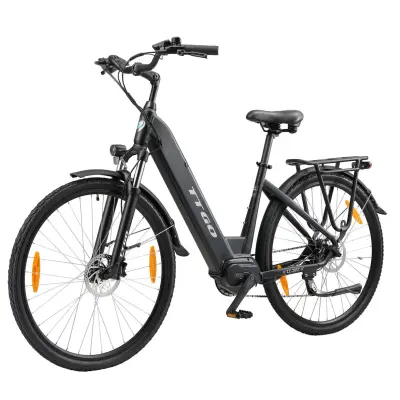 Električno kolo TTGO XKZZ-28ST, motor Bafang s srednjim pogonom 250 W, 36 V 20 Ah, črna