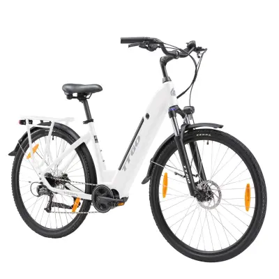 Električno kolo TTGO XKZZ-28ST, motor Bafang s srednjim pogonom 250 W, 36 V 20 Ah, bela