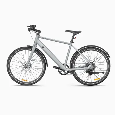 Mestno električno kolo DYU Stroll 1, 250 W, 36 V, 9 Ah, asistenčni doseg 100 km, srebrno