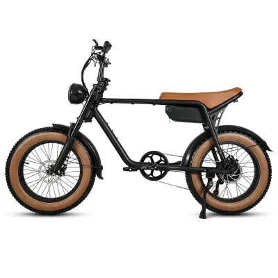 CMACEWHEEL K20 električno kolo, 750W 48V 15Ah, rjava