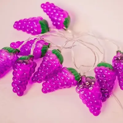 5ft sadne luči na nizu, 10 LED luči na nizu na baterije, notranje zunanje luči na nizu za poročno dekoracijo (grozdje)