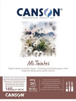 Skicirka Canson Mi-Teintes 24x32 cm, 160 g beli toni, 20 listna