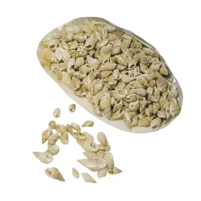 Školjke 150g