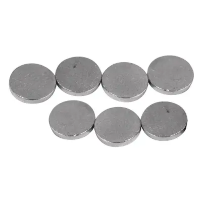 Magneti, 6 mm o, debelina 1 mm, 20 kom.