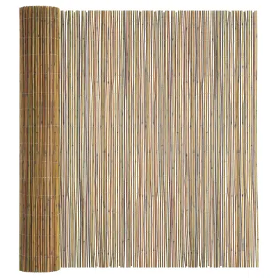 vidaXL Bambusova ograja 300x180 cm