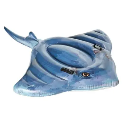 Intex Inflatable Lane