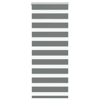 vidaXL Zebra senčilo temno sivo 60x150 cm tkanina širina 55,9 cm