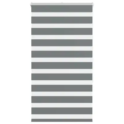 vidaXL Zebra senčilo temno sivo 75x150 cm tkanina širina 70,9 cm