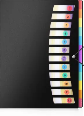 24 žepov Poly Project Organizer Letter Size, Expandding Project Sorter Heavy Duty