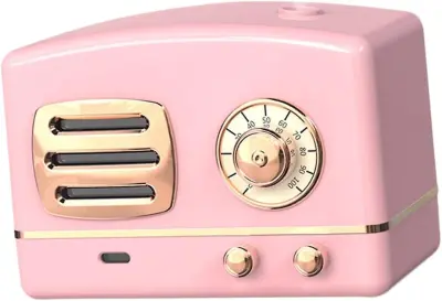Rdeča 1Pc Vlažilec Zraka Gospodinjski Vlažilec Mini Vlažilec Razpršilec Vlažilec Roza Prenosni Vlažilec Hišni Prenosni Radio