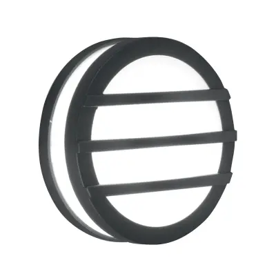 Elstead Ano Zunanja stenska/stropna svetilka z 1 lučjo, grafitna, IP54