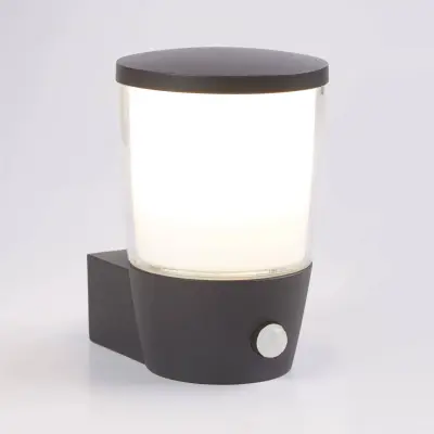 Searchlight Tucson Zunanja stenska svetilka z 1 lučjo, temno siva, s PIR senzorjem gibanja, IP44, E27