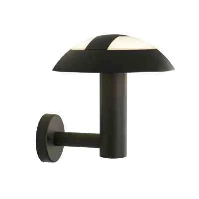 Searchlight Mushroom Zunanja LED stenska svetilka Veranda - temno siva