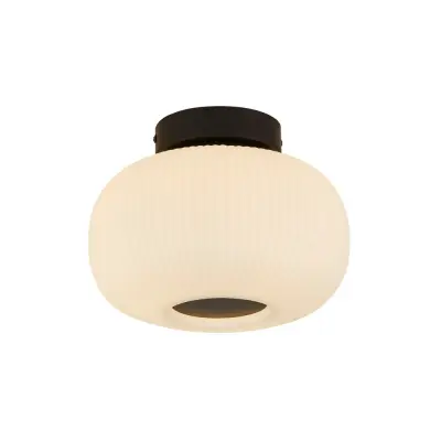 Searchlight Lumina 1 lahka stropna poravnava z matiranim rebrastim steklom