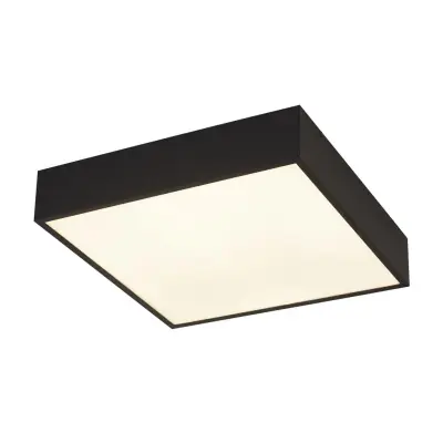 Searchlight Zeus 1-svetilna kvadratna kopalniška stropna svetilka, črna 3000K IP44