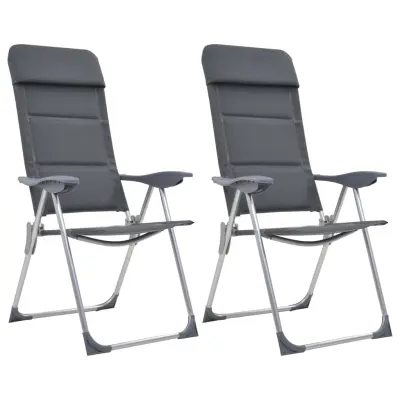 The Living Store Stol za kampiranje 2 kosa sive barve aluminij 58x69x111 cm - Stol Za Kampiranje