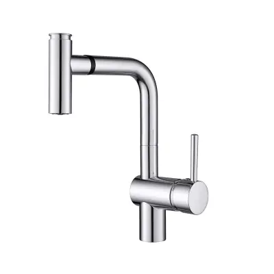 2-funkcijska izvlečna glava razpršilca pipe za kuhinjsko korito