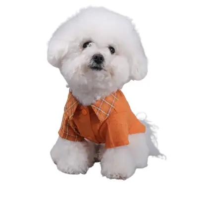 Karirasta pasja majica, oranžna - zračna in elegantna  M