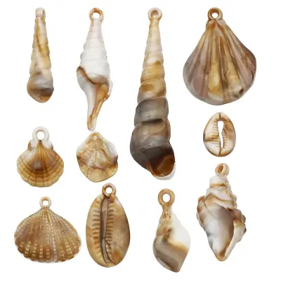 Akrilni obesek v obliki školjke za izdelavo DIY nakita - 5 cm