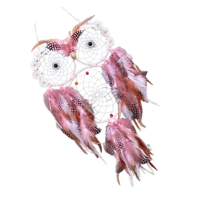 Roza lovilec sanj z sovo - Dekoracija doma Modra ptica