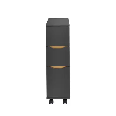 SoBuy Voziček za varčevanje s prostorom 20x60x70cm BZR191-DG