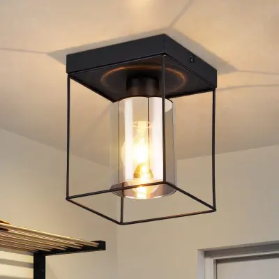NETTLIFE Stropna svetilka za hodnik, steklena stropna svetilka, 1 žarnica E27, vintage s črno kovino, retro industrijski slog