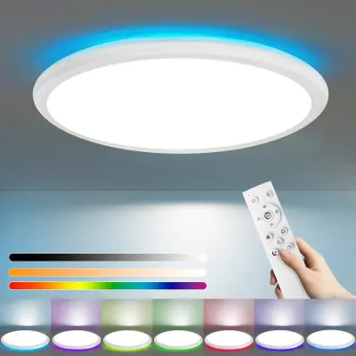 NETTLIFE LED stropna svetilka za spalnico in kuhinjo, ravna svetilka RGB 23W, okrogla kopalniška svetilka, 30CM, daljinski upravljalnik