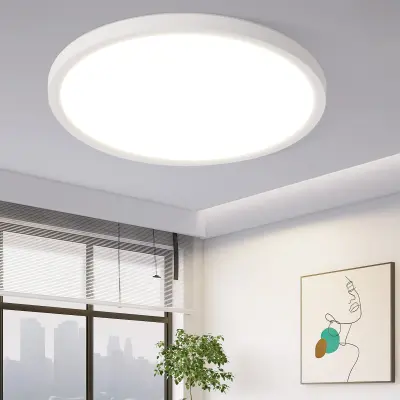 NETTLIFE LED stropna svetilka za kopalnico, ravna, 30 cm, 24 W, okrogla, bela, kuhinjska, nezatemnljiva
