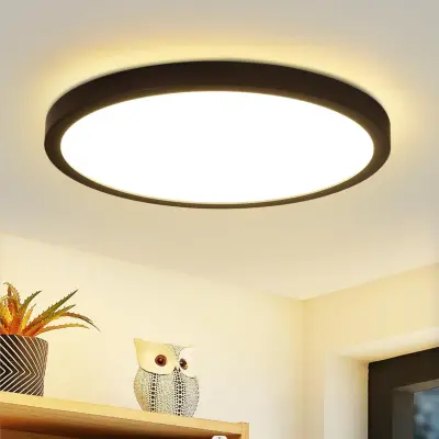 NETTLIFE LED stropna svetilka, ravna stropna svetilka, spalnica, svetilka Ø22cm, kopalniška svetilka, črna, 15W IP44