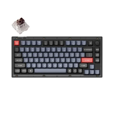 Keychron V1 QMK Mehanska tipkovnica po meri / Matirana črna / Keychron K Pro Brown / V1-C3