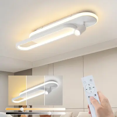 NETTLIFE zatemnljiva LED stropna svetilka z 1 stropno svetilko in daljinskim upravljalnikom, moderna 46 W, bela, kuhinja