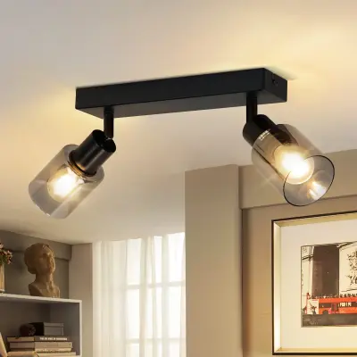 NETTLIFE Stropna svetilka, 2 plamena, črna, industrijska, E14, za dnevno sobo