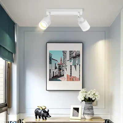 NETTLIFE Stropna svetilka, moderna, stropna svetilka, 2 nastavljivi žarnici, GU10, kovinska