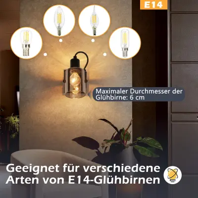 NETTLIFE Stropna svetilka, vintage črna, retro dimljena siva steklena stropna svetilka, 1 žarnica E14