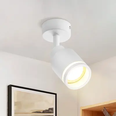 NETTLIFE Moderna stropna svetilka z 1 nastavljivo žarnico GU10