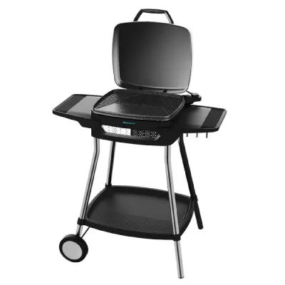 CECOTEC 03113 - Električni žar PerfectCountry 2000 EasyMove